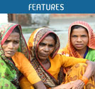 DFID Annual Review, 2013